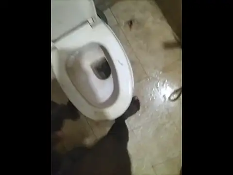 Snapshot of naxus@xh chatting on November 4, 2025, 12:31 pm naxusxh online show from November 4, 2025, 12:31 pm