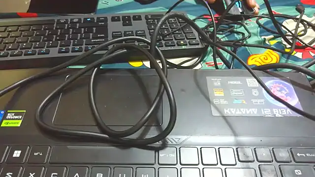 bigpennisboys online show from November 22, 2025, 12:32 am