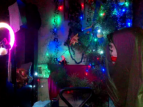 WildMissNiks online show from December 23, 2025, 9:52 am