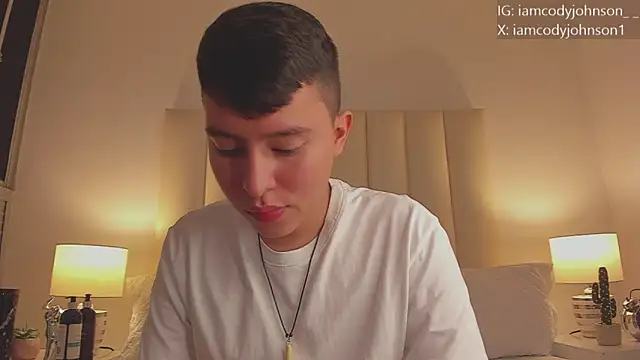 Snapshot of the_little_cody chatting on November 26, 2025, 7:47 pm the little cody online show from November 26, 2025, 7:47 pm