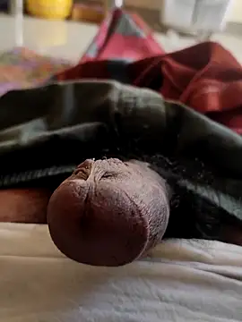 Snapshot of Hausa_44 chatting on November 5, 2025, 2:36 am Hausa 44 online show from November 5, 2025, 2:36 am