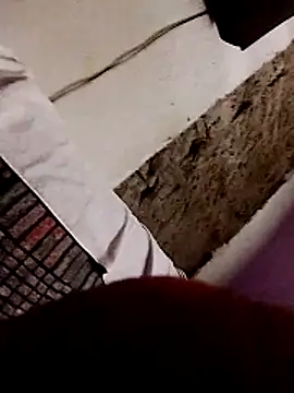 atribo1 online show from April 15, 2026, 3:38 pm