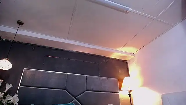 teddyfit19cm online show from January 12, 2026, 12:56 pm