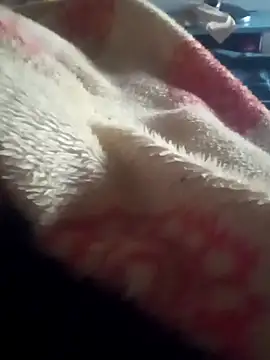 casaltrasante online show from March 13, 2026, 5:45 am