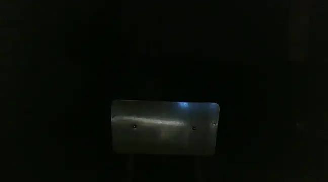 venenus online show from January 29, 2025, 1:05 am