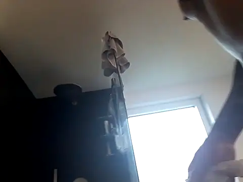 Prinzalbert7xh online show from October 27, 2025, 12:28 pm