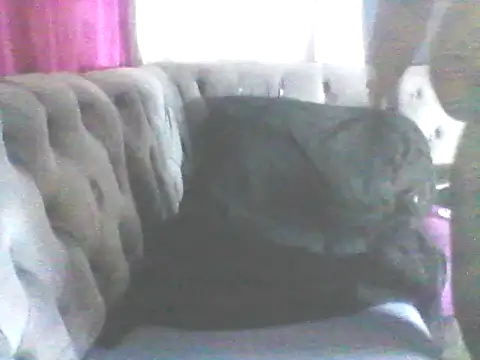 Wanderkid33 online show from January 17, 2026, 7:39 pm