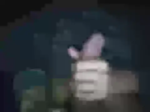 jheisonct online show from April 2, 2026, 3:57 am