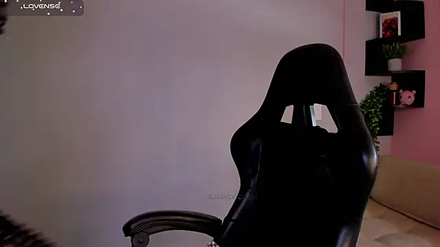 Snapshot of sussyprice chatting on March 28, 2026, 3:57 pm sussyprice online show from March 28, 2026, 3:57 pm