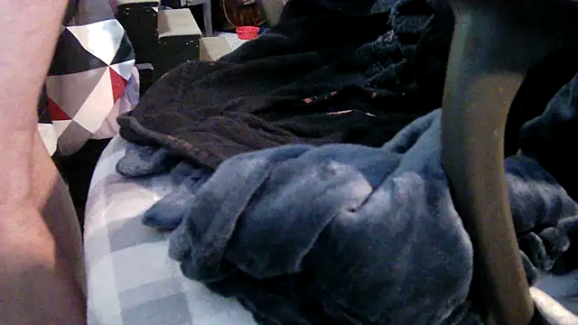 Pantyboy239 online show from April 4, 2026, 2:12 pm