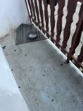 Snapshot of MatThiAs2806 chatting on February 15, 2026, 6:25 am MatThiAs2806 online show from February 15, 2026, 6:25 am