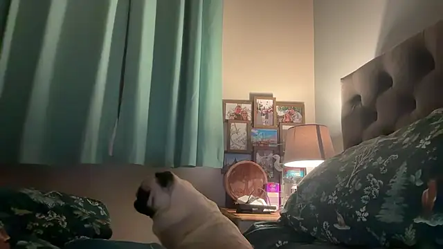 Snapshot of short_sweetpea chatting on January 12, 2026, 6:09 am short sweetpea online show from January 12, 2026, 6:09 am