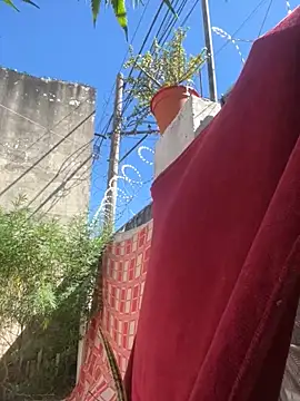 Snapshot of Alicbranca chatting on March 15, 2026, 2:35 pm Alicbranca online show from March 15, 2026, 2:35 pm