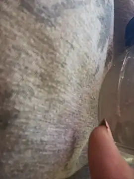 Snapshot of Alicbranca chatting on March 19, 2026, 12:38 pm Alicbranca online show from March 19, 2026, 12:38 pm