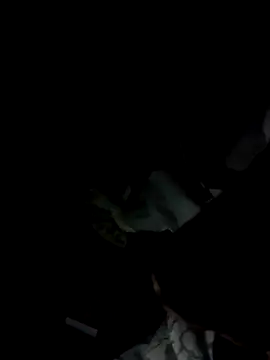 Nate8745 online show from November 4, 2025, 11:58 am