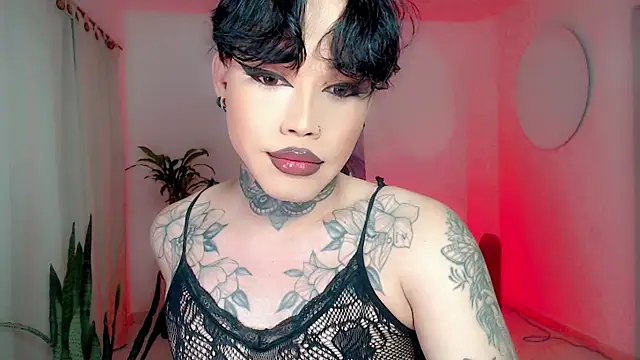 little star porn online show from January 10, 2026, 5:47 am