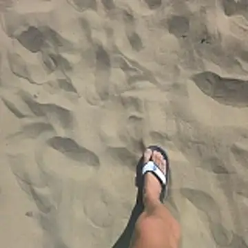 Trucker Hunter online show from February 8, 2026, 11:41 am