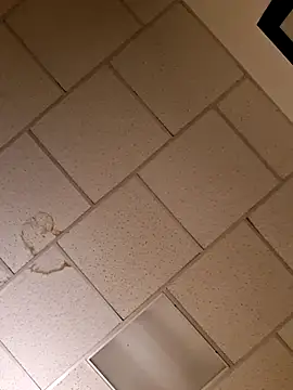 Snapshot of curiouscock38 chatting on November 20, 2025, 11:55 am curiouscock38 online show from November 20, 2025, 11:55 am