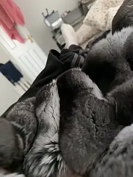 Furdale online show from February 28, 2026, 2:06 pm