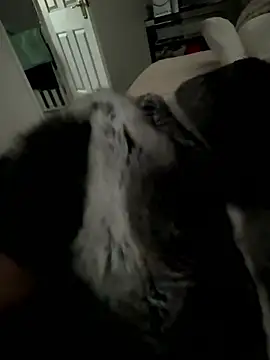 Furdale online show from January 15, 2026, 3:48 pm