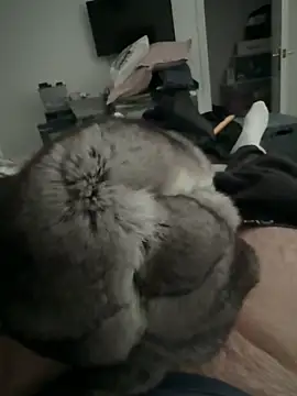 Furdale online show from December 2, 2025, 2:52 pm