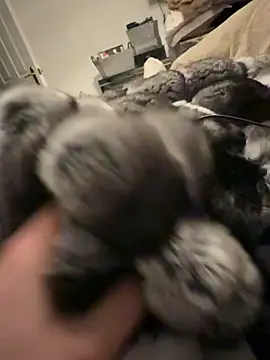 Furdale online show from February 20, 2026, 6:10 pm