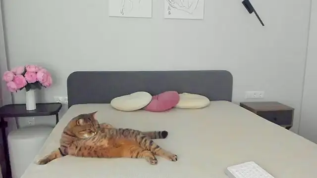 Snapshot of miss_emily_ chatting on April 10, 2026, 11:23 pm miss emily online show from April 10, 2026, 11:23 pm