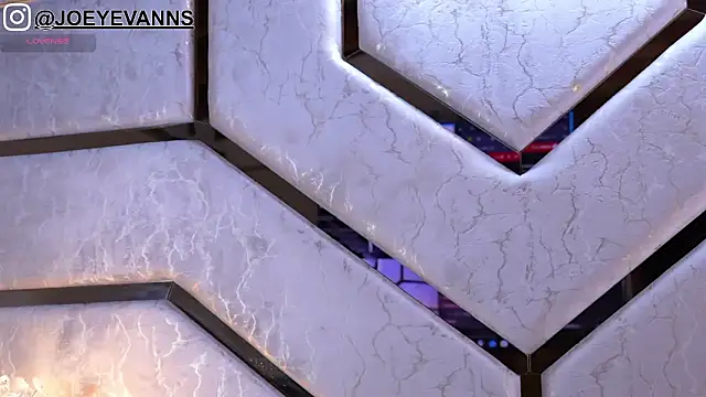 Snapshot of JOEYEVANS chatting on March 19, 2026, 3:17 am JOEYEVANS online show from March 19, 2026, 3:17 am