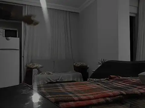 ALPHANDRE online show from October 8, 2025, 6:52 pm