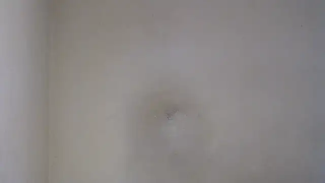 AlexNudo online show from February 26, 2025, 12:05 pm