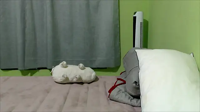 Snapshot of YummymeowW chatting on December 14, 2024, 3:06 am YummymeowW online show from December 14, 2024, 3:06 am