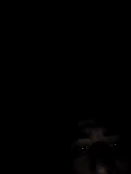 Snapshot of SpeedMagnumBlade6669 chatting on February 14, 2026, 7:19 am SpeedMagnumBlade6669 online show from February 14, 2026, 7:19 am