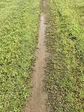 Snapshot of samm1437a chatting on September 12, 2025, 2:23 am samm1437a online show from September 12, 2025, 2:23 am