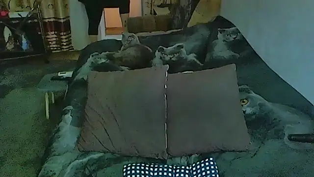 sex2 online show from December 4, 2025, 1:26 am