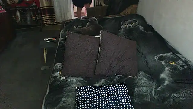 sex2 online show from May 29, 2026, 11:55 pm