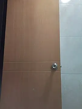 DannaBerry online show from November 14, 2025, 3:37 pm