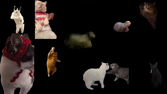 aberaaruba online show from November 20, 2025, 2:51 pm