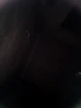 Snapshot of Pitercom chatting on February 8, 2026, 12:52 am Pitercom online show from February 8, 2026, 12:52 am