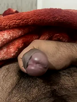 Snapshot of bigshow112 chatting on December 4, 2024, 5:49 pm bigshow112 online show from December 4, 2024, 5:49 pm