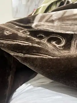 Snapshot of bigshow112 chatting on January 3, 2025, 12:40 pm bigshow112 online show from January 3, 2025, 12:40 pm