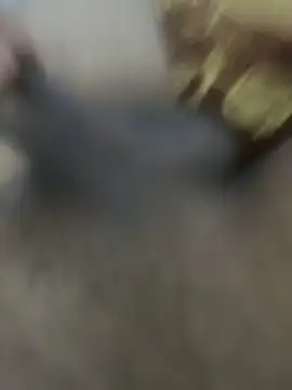 HHHHHxxn online show from March 24, 2026, 5:29 am