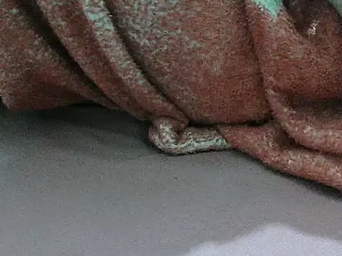 Snapshot of FUN4TIPS chatting on March 2, 2025, 5:09 pm FUN4TIPS online show from March 2, 2025, 5:09 pm