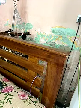 falooda288 online show from October 28, 2025, 8:35 am