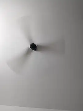 Srishtijain51 online show from February 14, 2025, 8:21 am