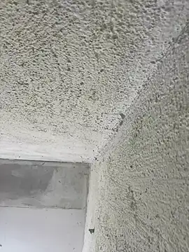 Snapshot of MarieLoveGlamorous chatting on February 26, 2025, 3:54 pm MarieLoveGlamorous online show from February 26, 2025, 3:54 pm