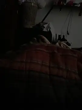 simonovic online show from February 24, 2026, 3:46 pm