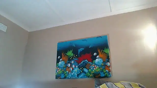 xykenrahxh online show from November 17, 2025, 8:02 pm