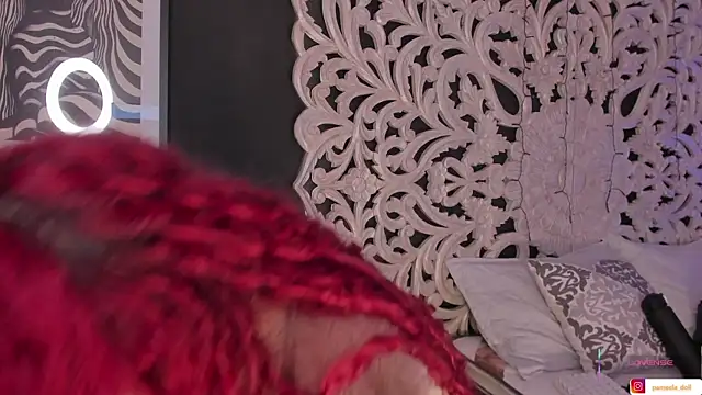 Snapshot of pamela_doll3 chatting on November 9, 2025, 4:49 am pamela doll3 online show from November 9, 2025, 4:49 am