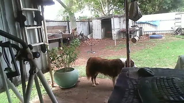 herbie010666 online show from November 27, 2025, 4:24 am