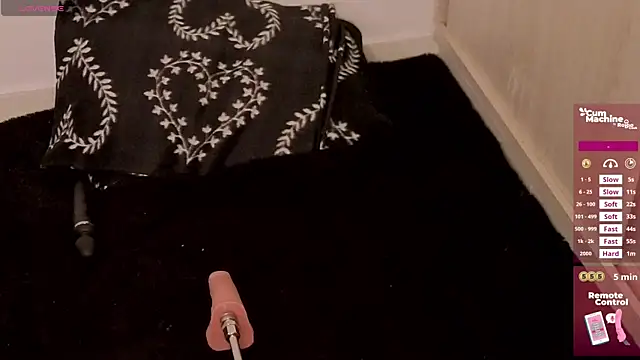 valery adams1 online show from April 8, 2026, 4:25 am